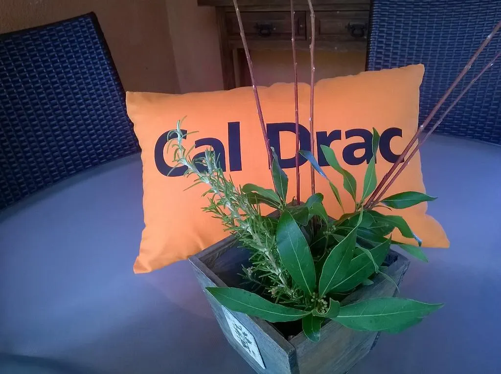 Country house Casa Rural Cal Drac Guest House Puigdalba