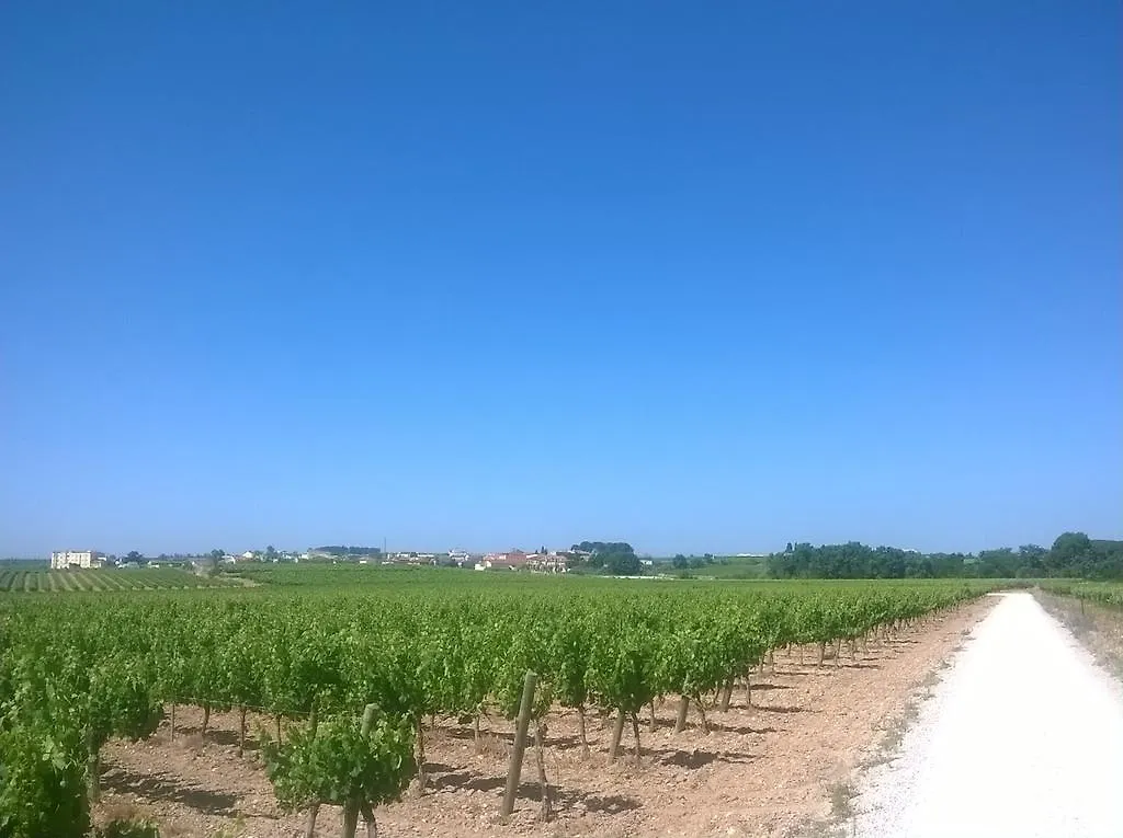 Casa Rural Cal Drac Guest House Puigdalba Spain