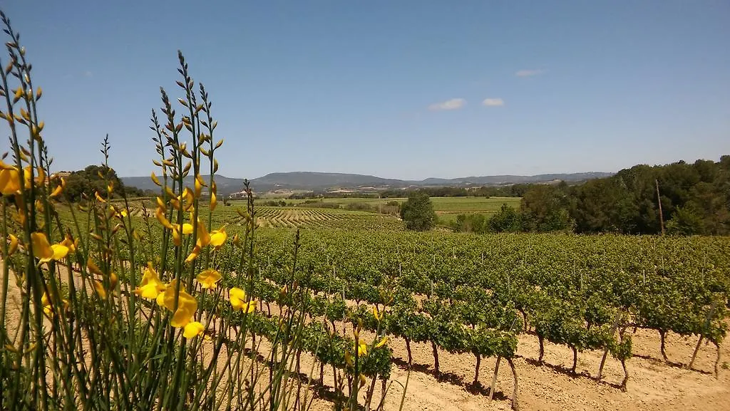Casa Rural Cal Drac Guest House Puigdalba Country house