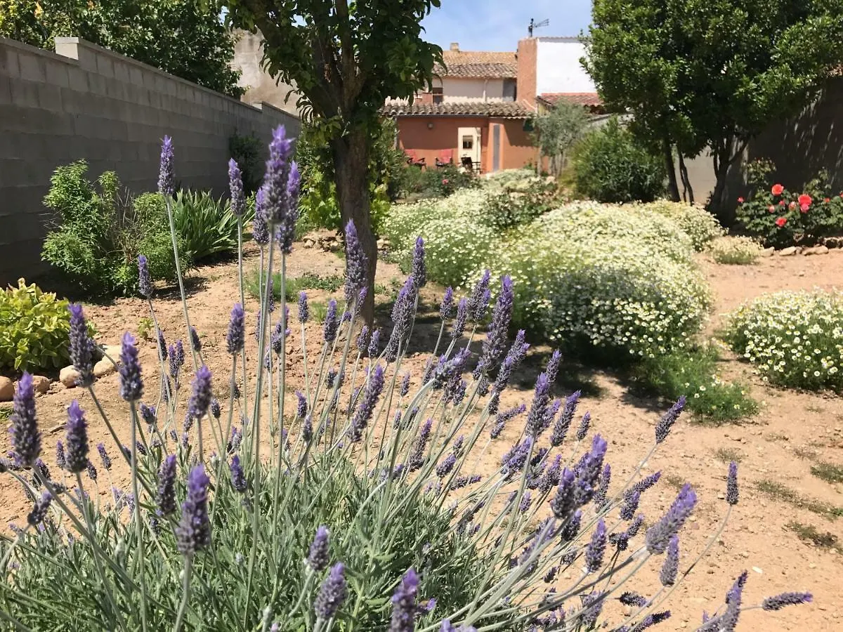 Casa Rural Cal Drac Guest House Puigdalba 0*,