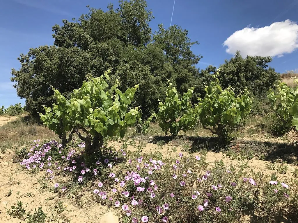 Penzion Casa Rural Cal Drac Puigdalba 0*,